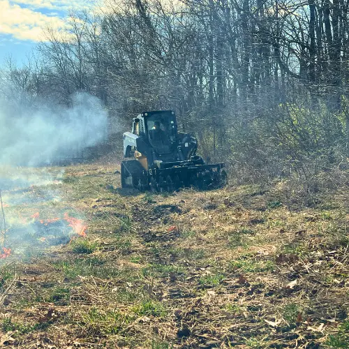 Land Clearing and Forestry Mulching